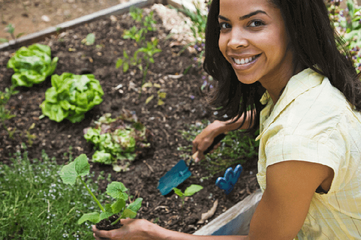 Gardening Therapy in Mental Health